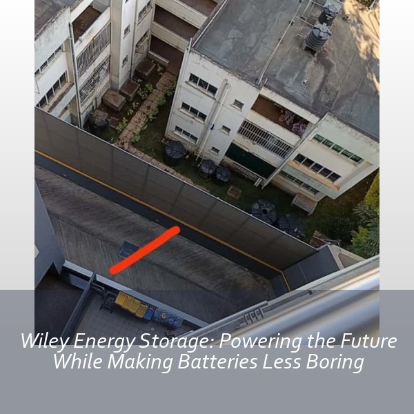 Wiley Energy Storage: Powering the Future While Making Batteries Less Boring